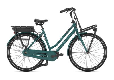 Gazelle Heavydutynl C7+ Dames Thyme Green Glans 46-64 2025