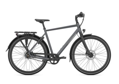 Gazelle Chamonix S11 Heren Cloud Grey Mat Div. Maten 2025