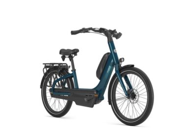 Gazelle Easyflow C7 Dames Pine Green Glans 46cm Uni 2025