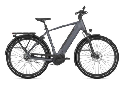 Gazelle Ultimate C5+ Heren Meteor Grey Mat Div. Maten 2026