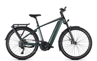 Kalkhoff Endeavour 5+ Advance Heren Techgreen / Diamondblack Gloss L-xxl 2026