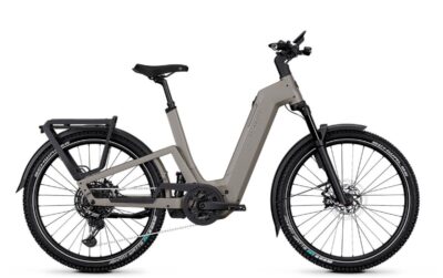 Kalkhoff Entice 7+ Excite Abs Dames Moonstonegrey Matt Mat S-l 2026