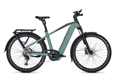 Kalkhoff Entice 5+ Excite Abs Heren Mineralgreen / Huntsmangreen Matt M-xxl 2026