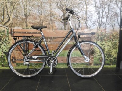 Gazelle Ultimate T1 Meteor Grey/platinum Grey 53cm