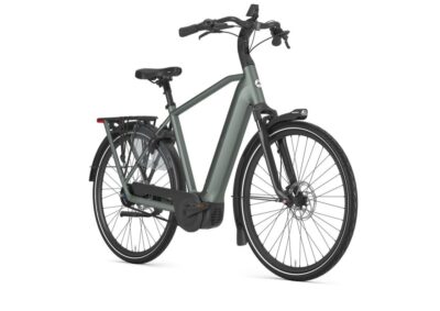 Gazelle Grenoble C5+ First Edition Heren Twilight Green Mat 57cm Div. Maten 2027